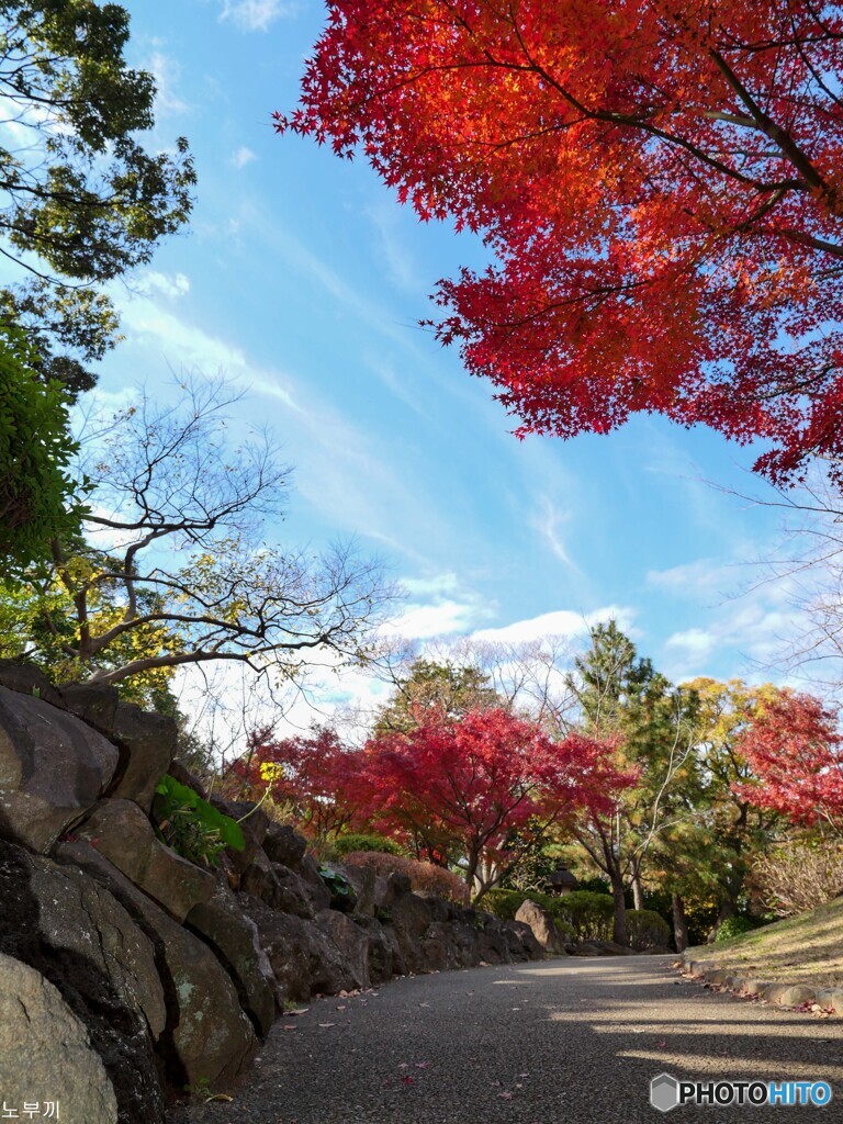 野毛山公園