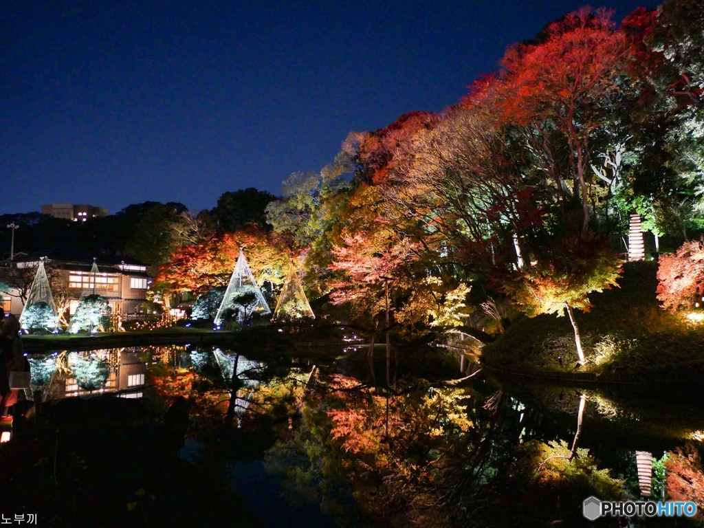 肥後細川庭園 2