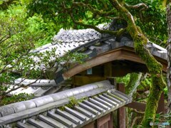 登有 柴又 山本邸【蔵出-2015】