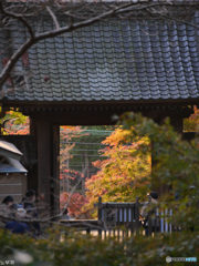 北鎌倉 円覚寺-4