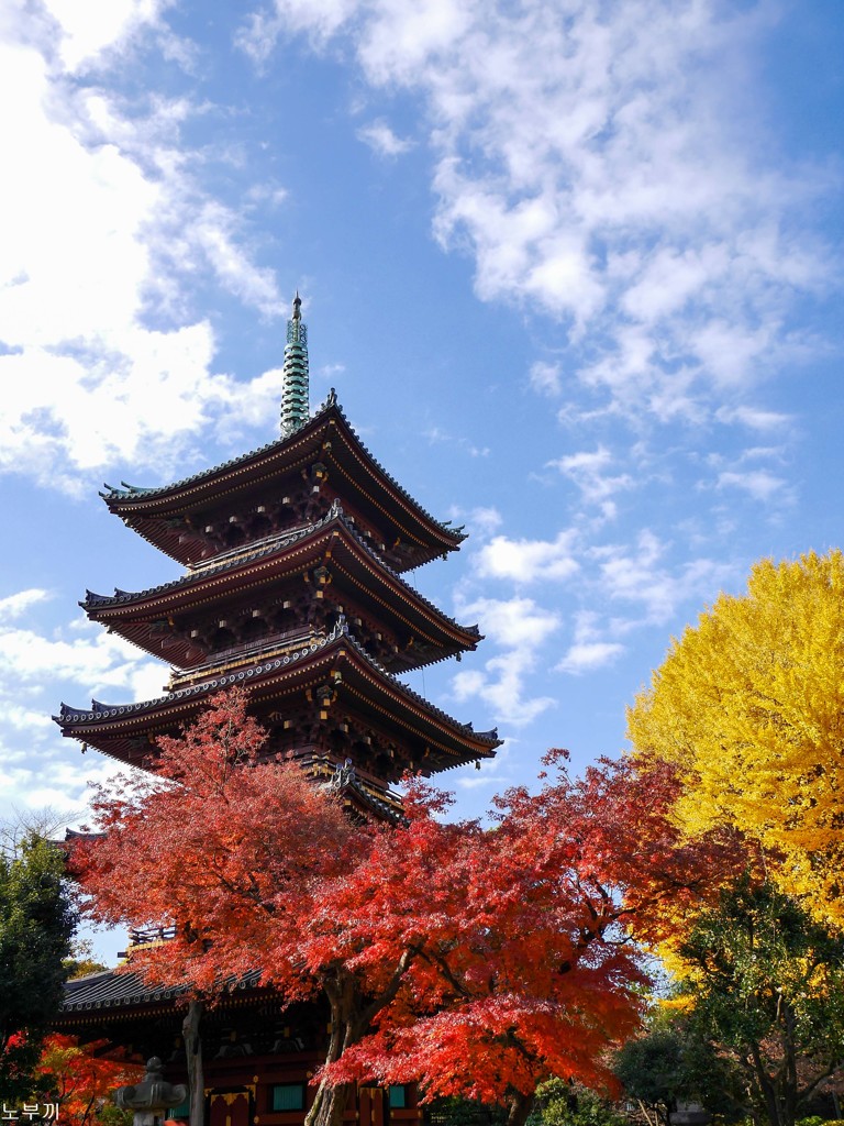 寛永寺 上野-1