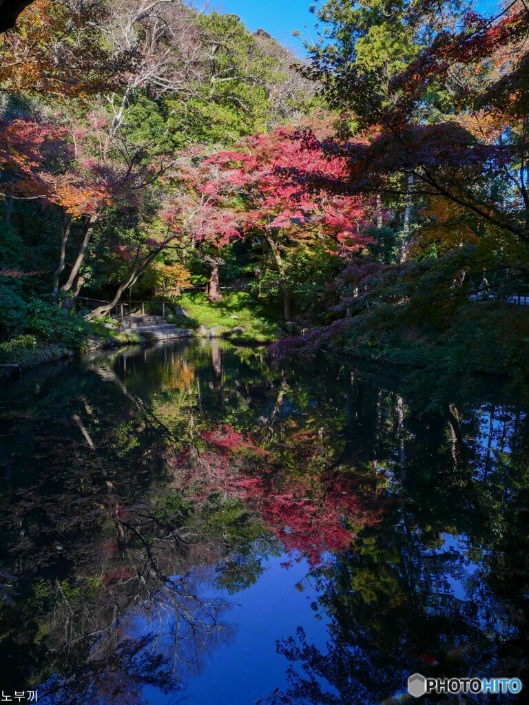 鎌倉で一番の混雑 八幡宮