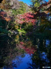 鎌倉で一番の混雑 八幡宮