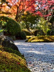 二日ぶりに鎌倉へ 浄明寺