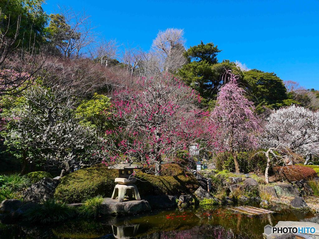 HITOのPHOTO見て我がPHOTOなおす