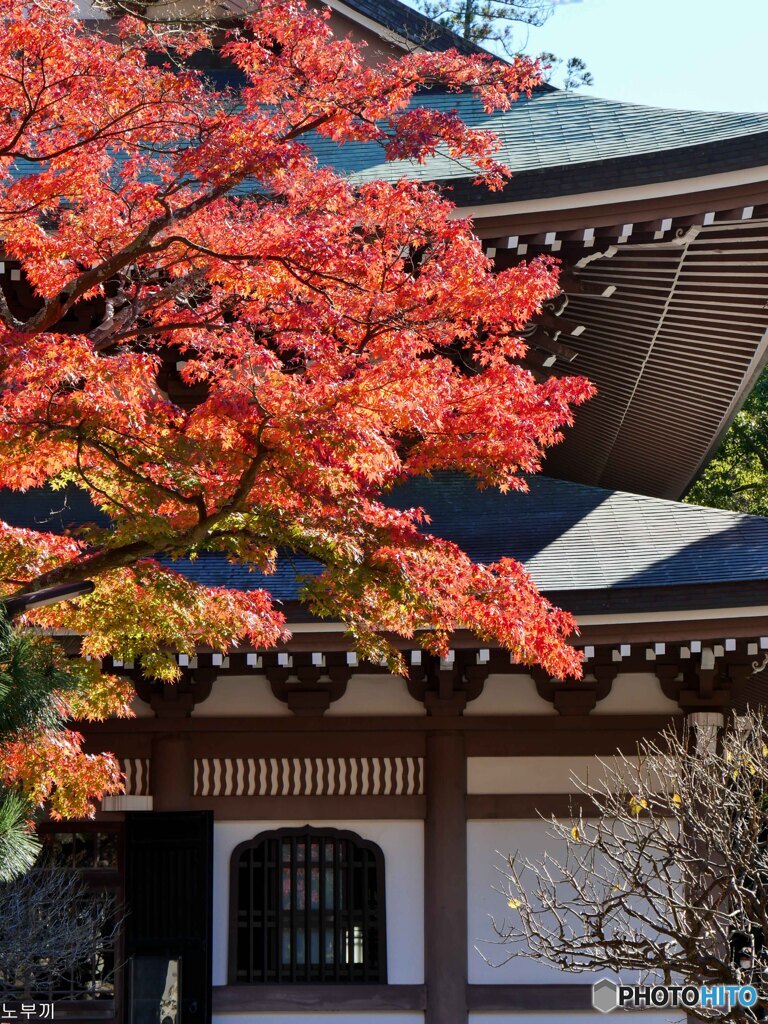 今年もスタートは円覚寺