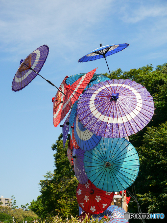 松山・道後公園