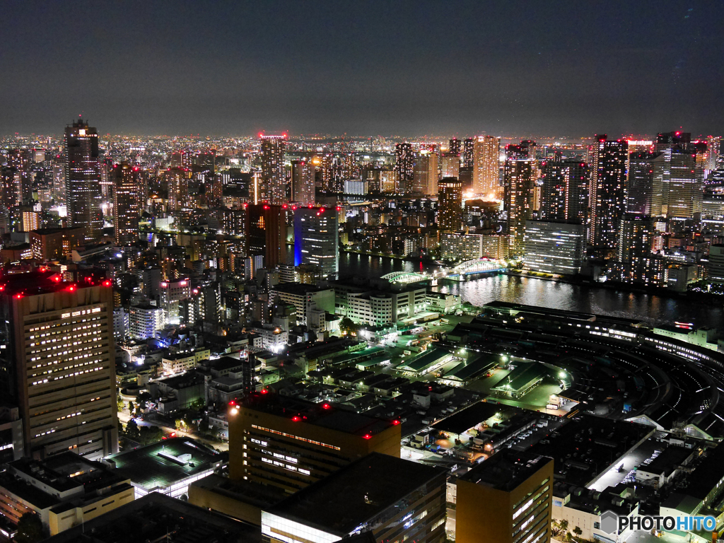 築地市場を見下ろす