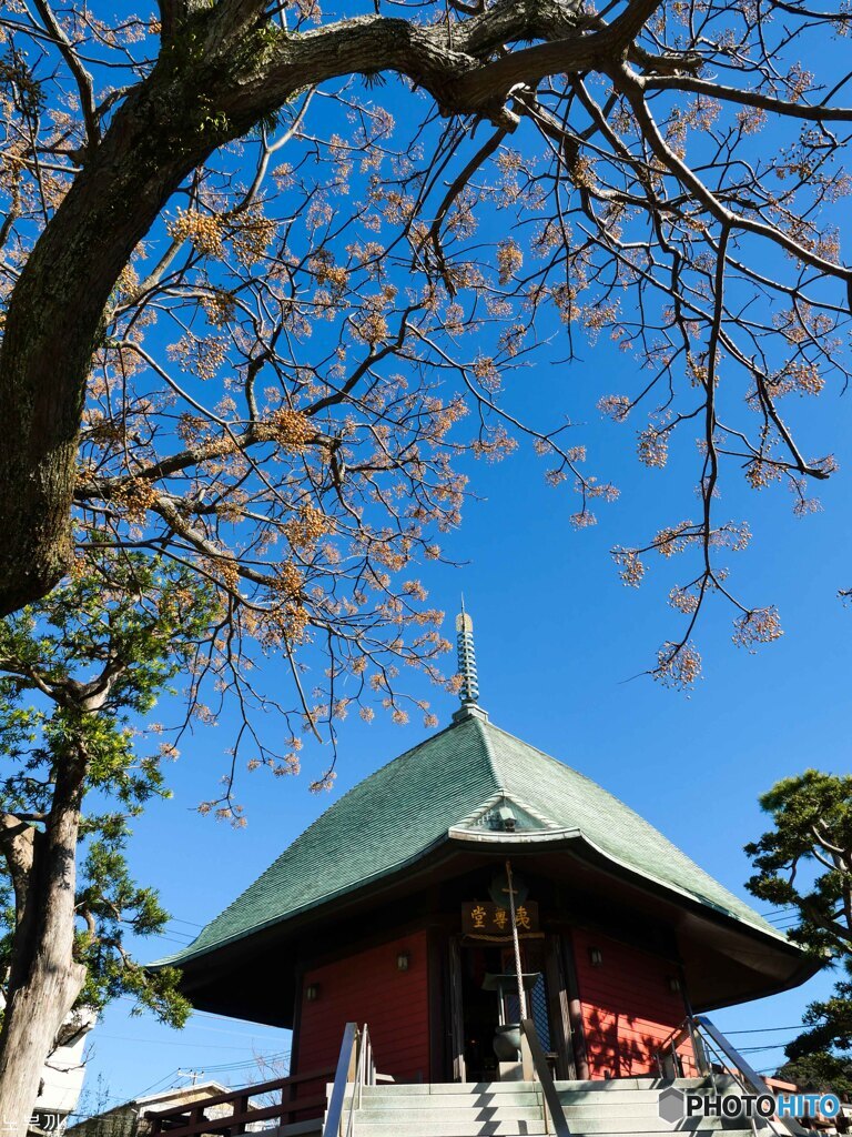 鎌倉小景 2021 本覚寺
