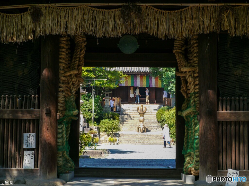重文 石手寺 本堂【蔵出-2013】