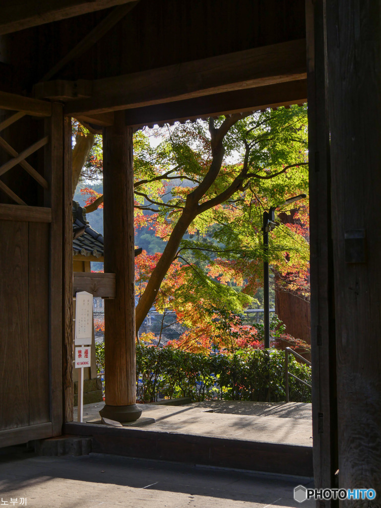 北鎌倉 円覚寺-2