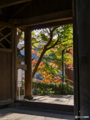 北鎌倉 円覚寺-2