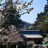 浄妙寺さん
