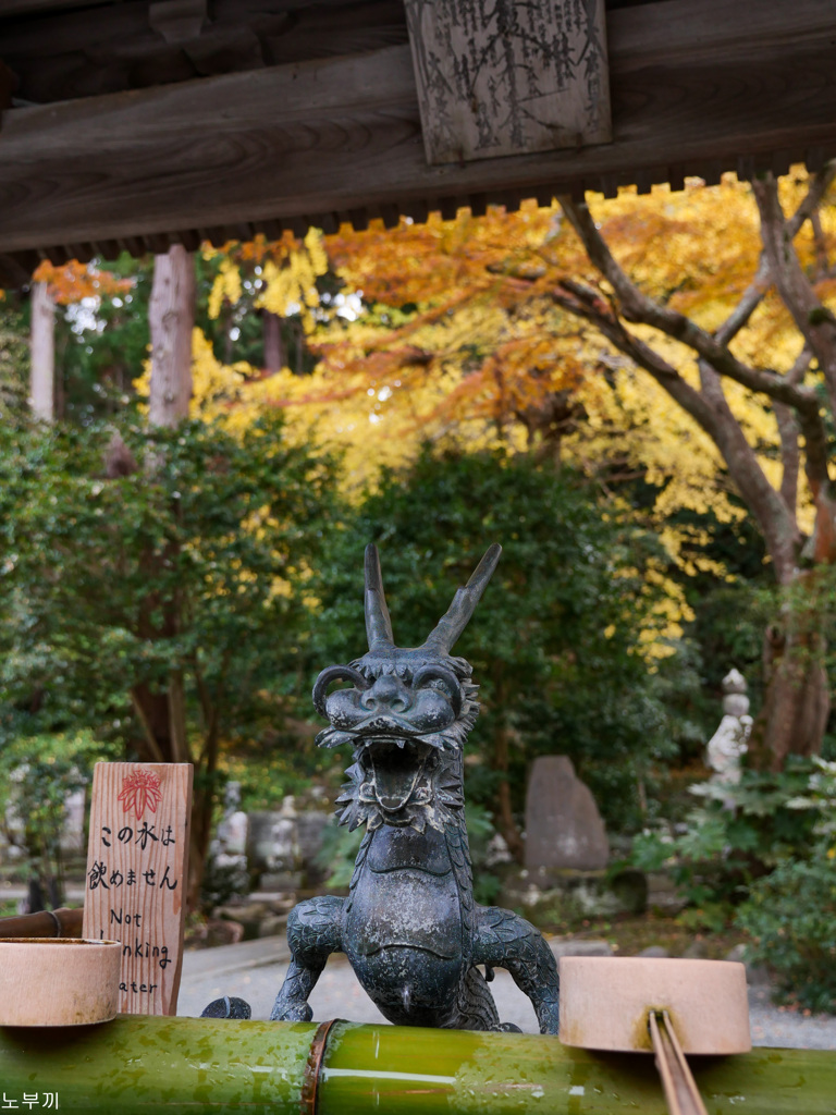 鎌倉 妙本寺-5