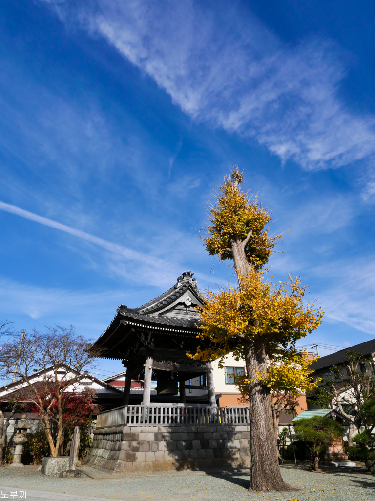 鎌倉 本覚寺-2