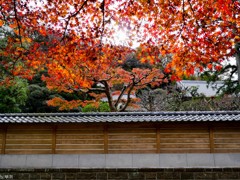 円覚寺 鎌倉-2