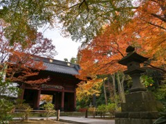 鎌倉 妙本寺-1