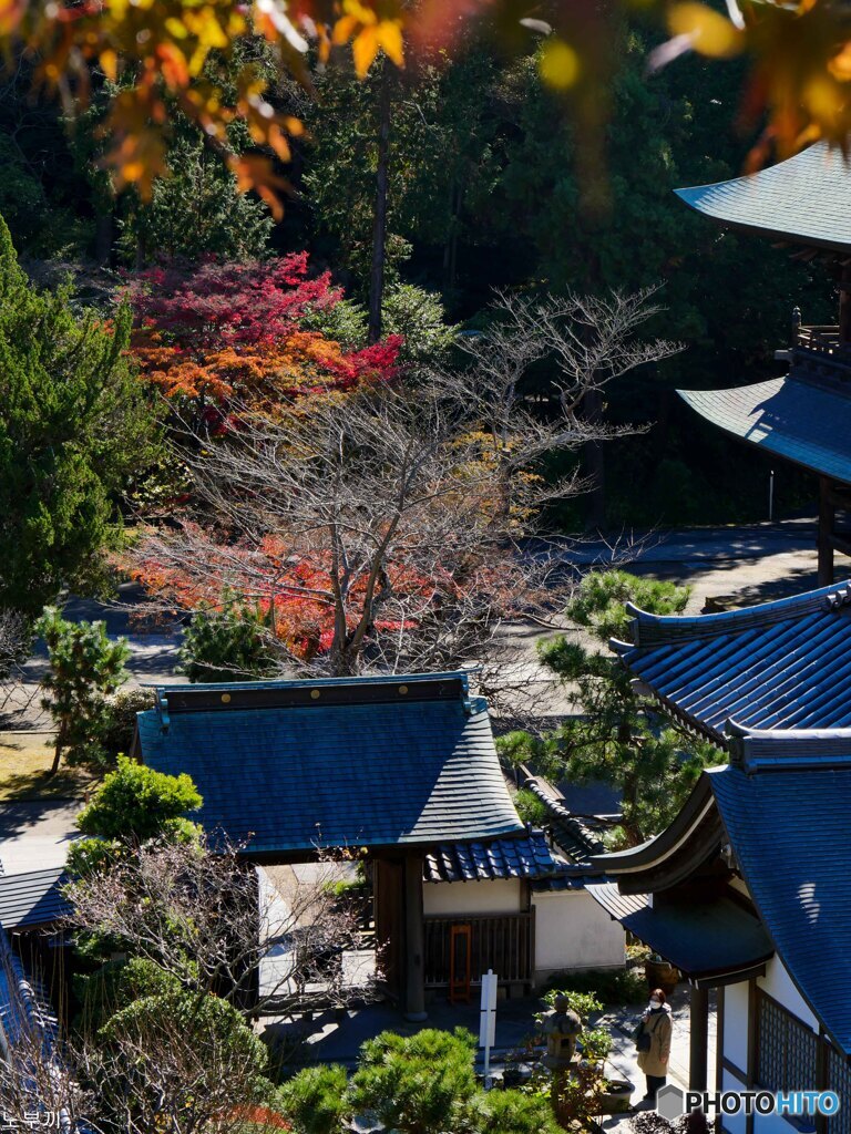 今年もスタートは円覚寺