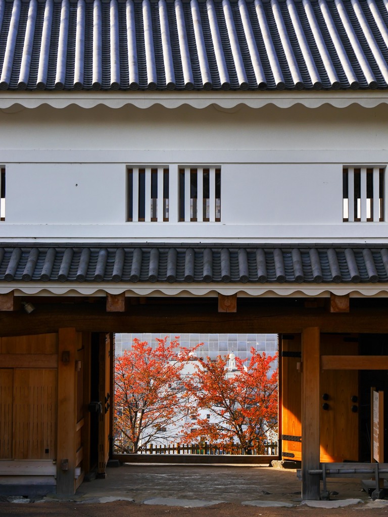 城の秋 舞鶴城 甲府-1