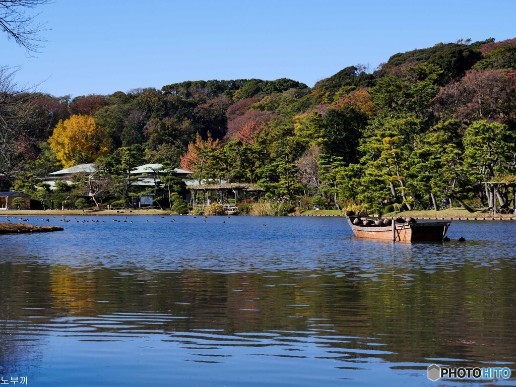 秋を拾いに三渓園