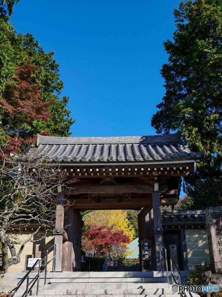 二日ぶりに鎌倉へ 浄明寺