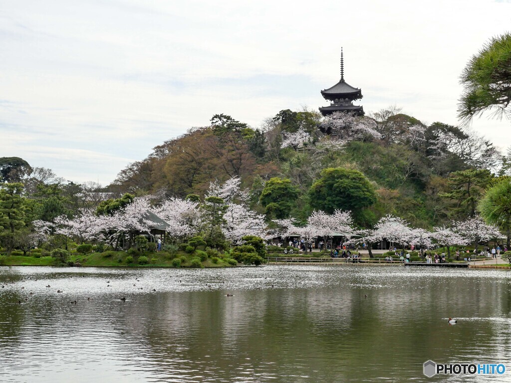 春のおもいで