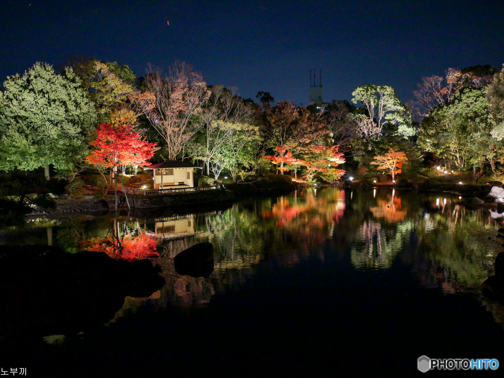 白鳥庭園 名古屋-5