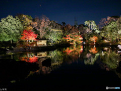 白鳥庭園 名古屋-5