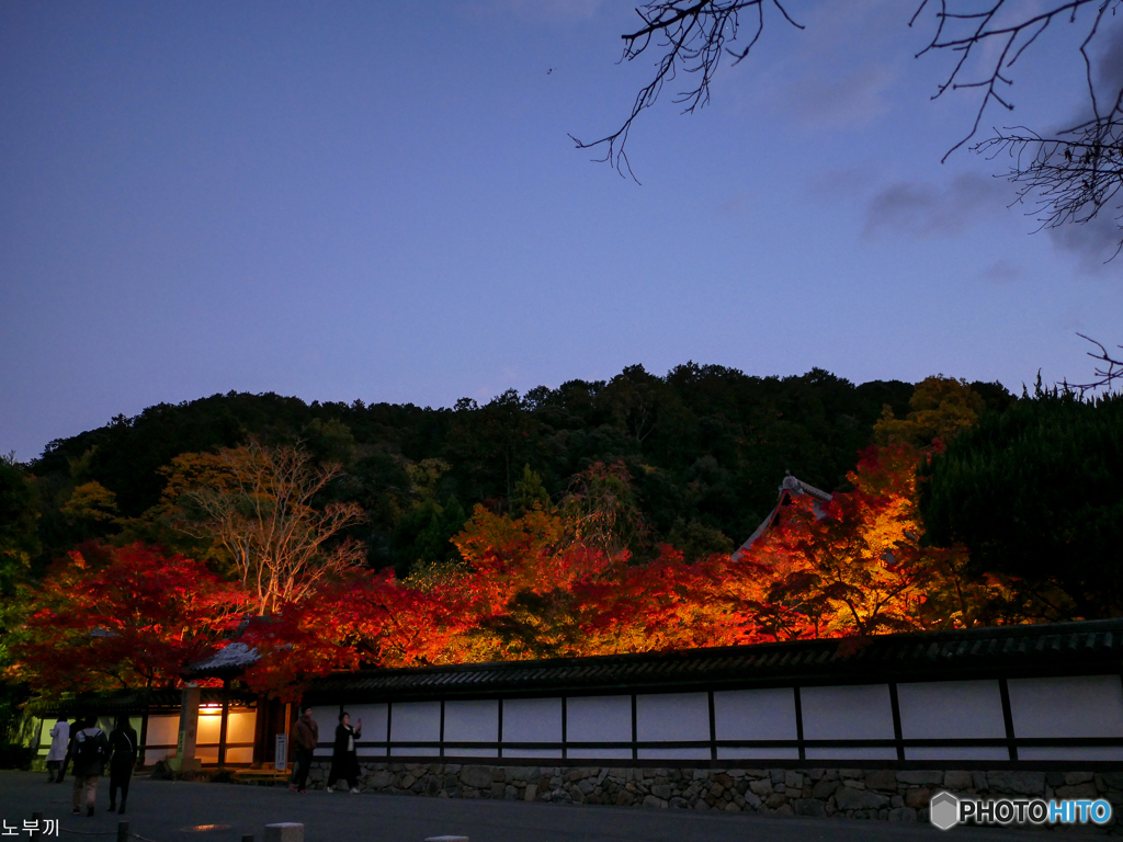 晩秋の夜 京都-3