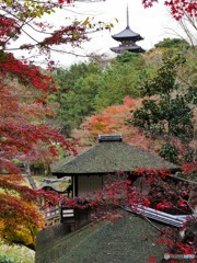 三渓園 横浜-4