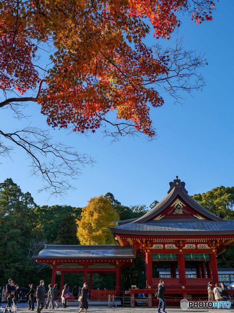 鎌倉で一番の混雑 八幡宮