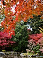 野毛山公園