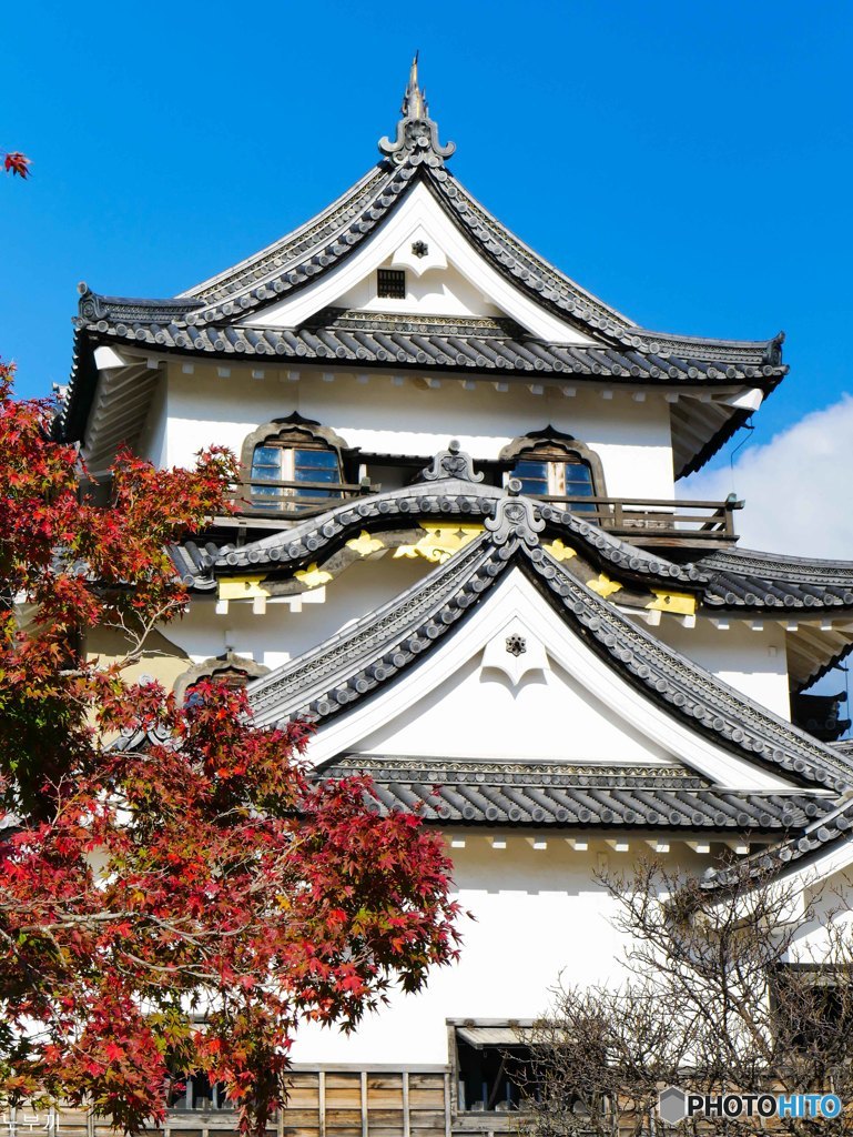 国宝 彦根城-1