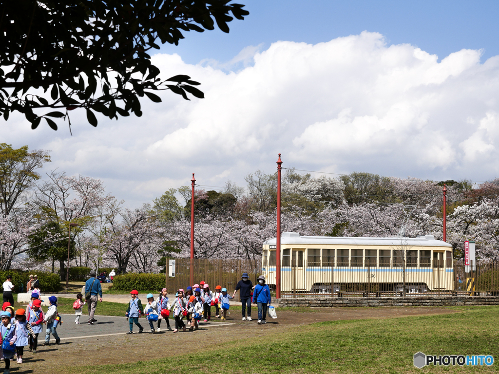 それぞれのお花見