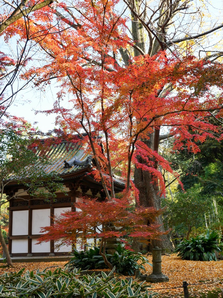 横浜 三渓園-7