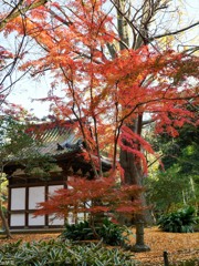 横浜 三渓園-7