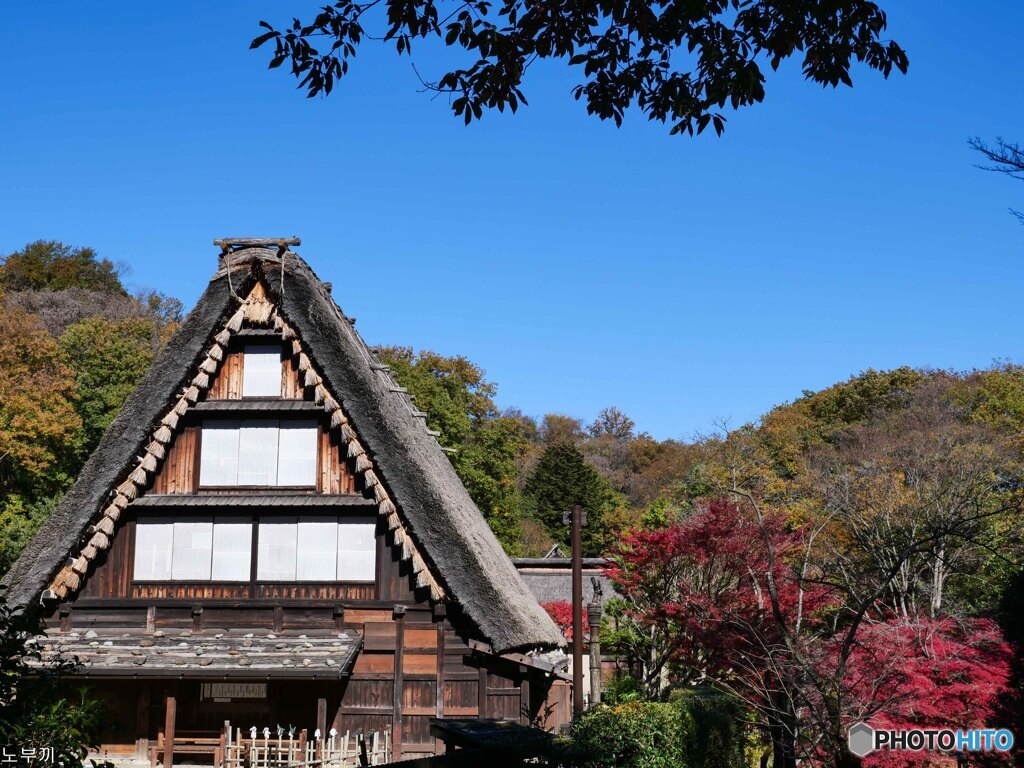 休園日の日本民家園