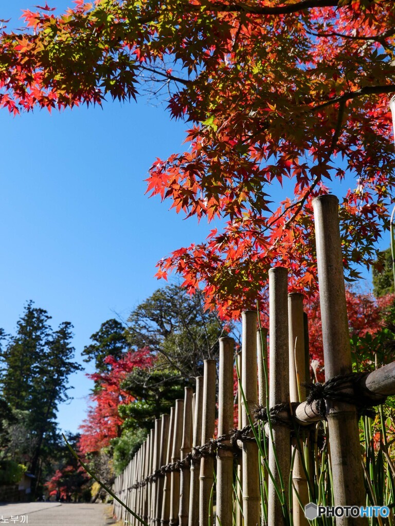 今年もスタートは円覚寺