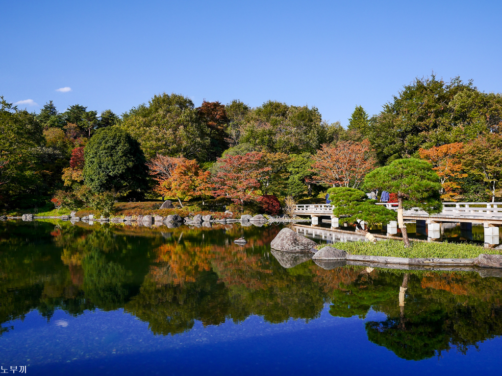 東京も色づき始め-昭和記念公園-1