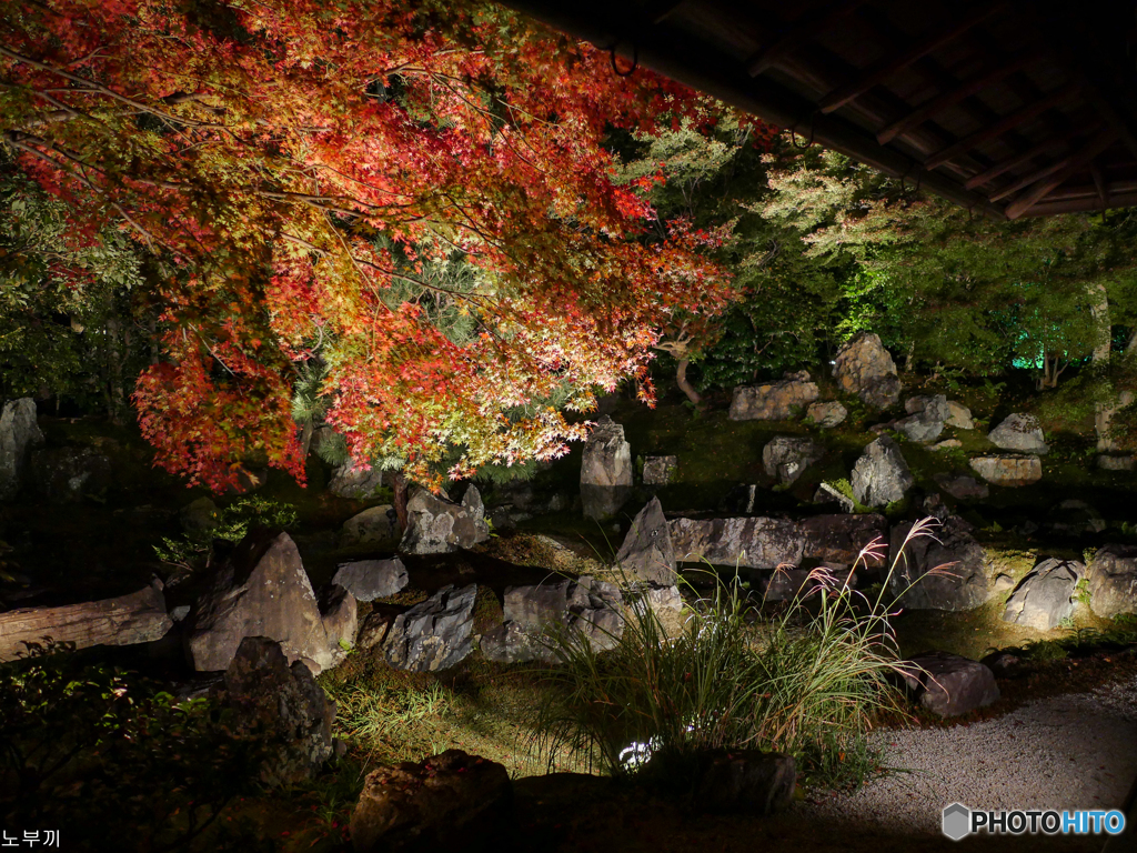 晩秋の夜 京都-6