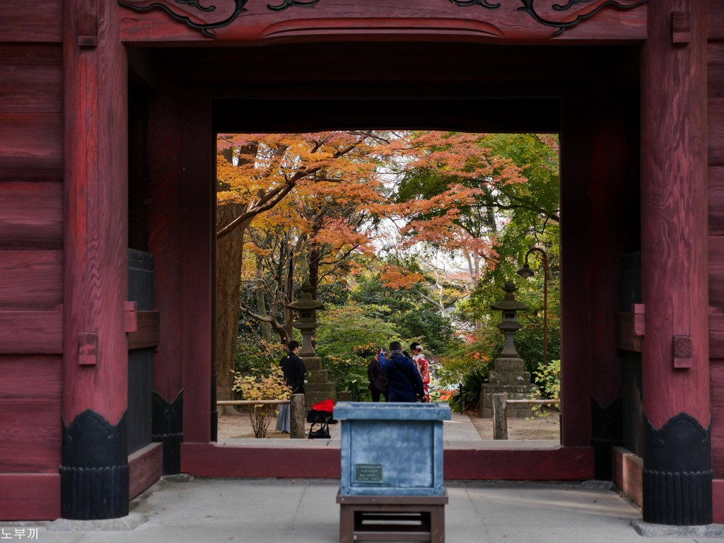 鎌倉 妙本寺-10
