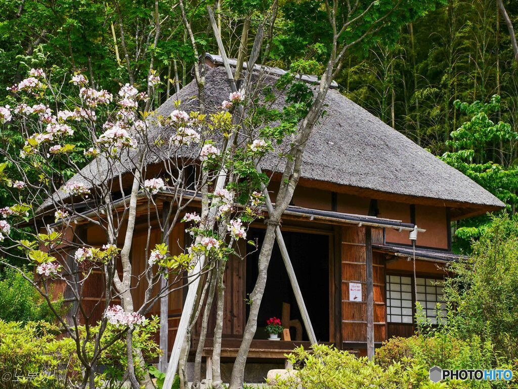 花木園 古民家