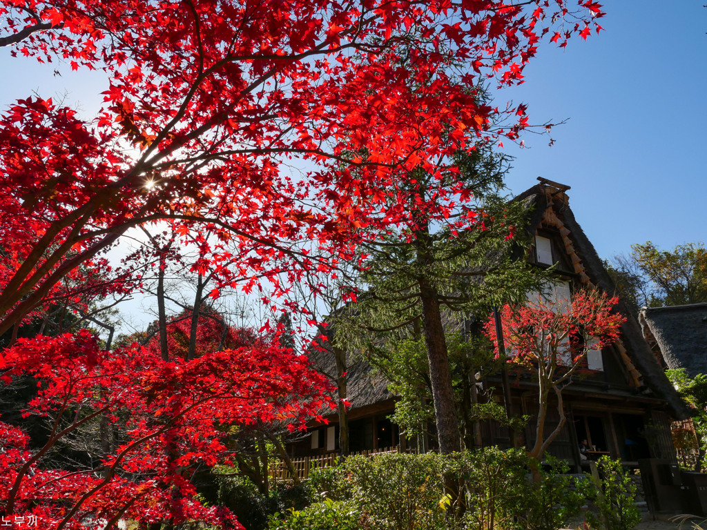 川崎市 日本民家園-10