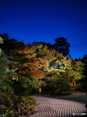 晩秋の夜 京都-5