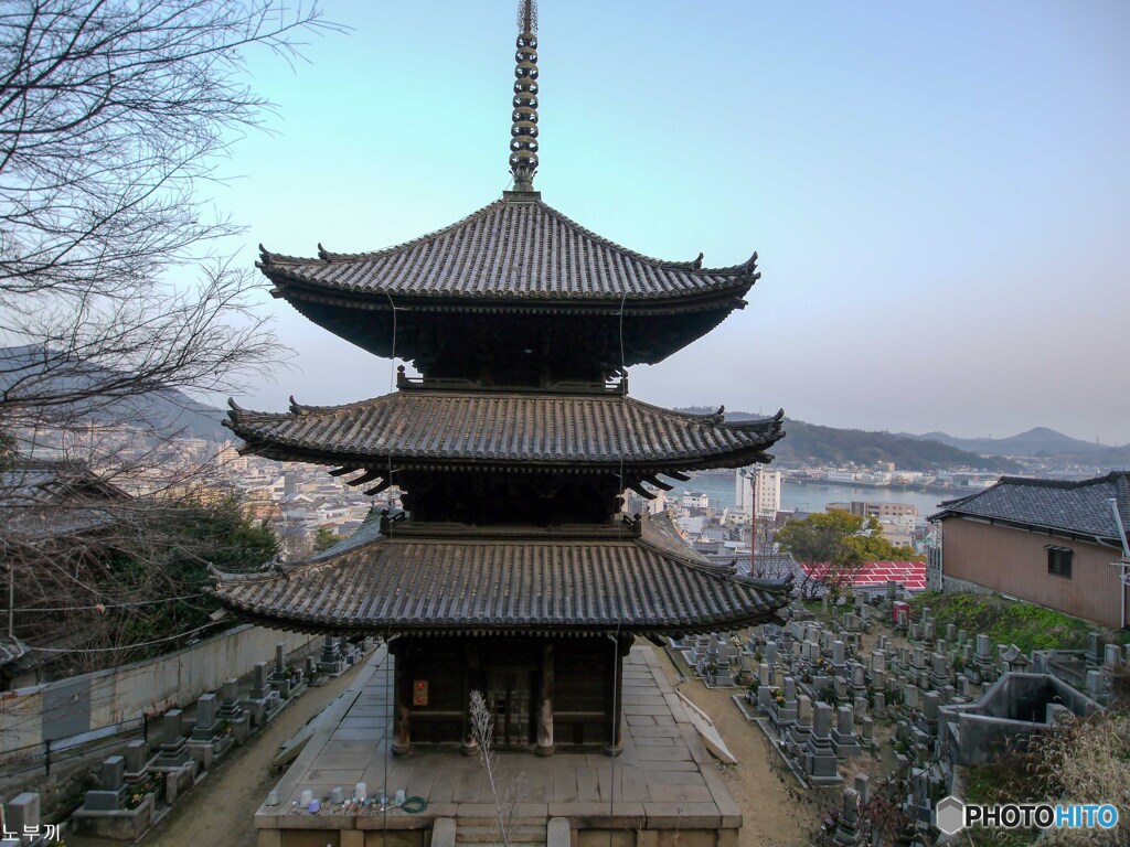 重文 天寧寺 三重塔-2【蔵出-2014】