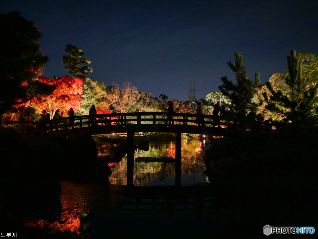 白鳥庭園 名古屋-3