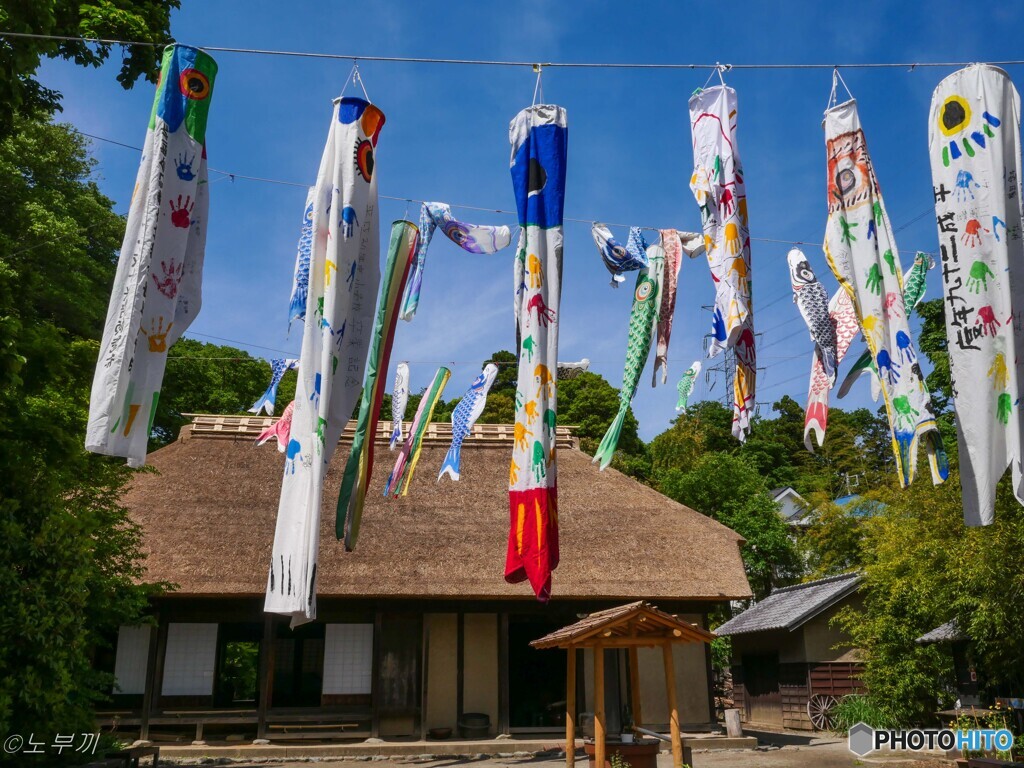 5月10日の鯉のぼり