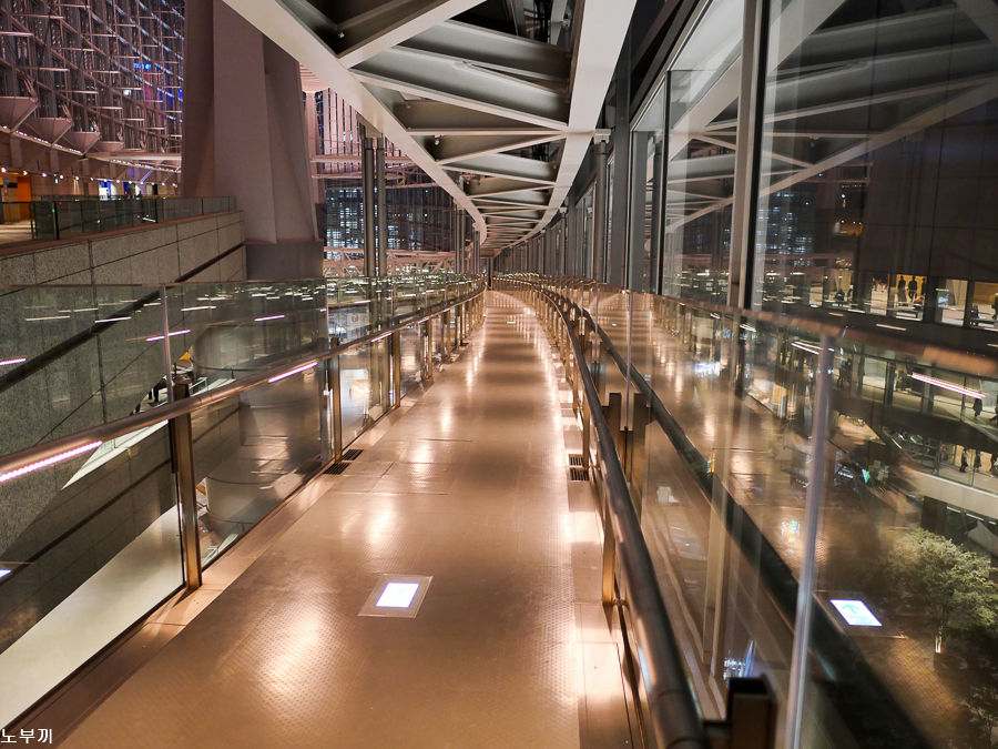 夜の東京国際フォーラム 有楽町-2
