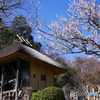 水車小屋の春