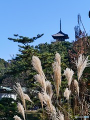 秋を拾いに三渓園